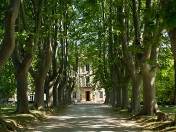 Chateau des Alpilles - Castle hotel in Saint Rémy de Provence, French Riviera & Provence