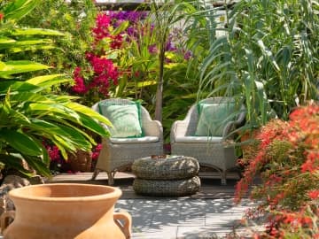 Secret Garden - Holiday home villa in Guatiza, Canary Islands