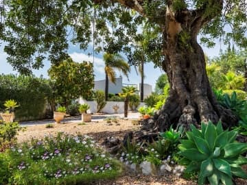 Villa Vale Grande 27 - Holiday home villa in Santa Barbara de Neixe, Algarve