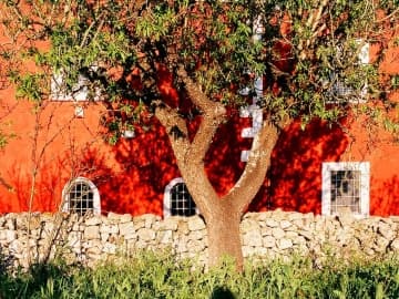 Masseria Cupina - Holiday home villa in Ostuni, Puglia