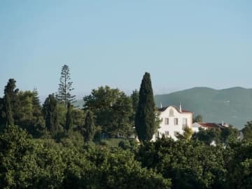 Quinta da Donalda - Holiday home villa in Portimão, Algarve