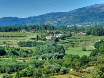 Quinta de Luou - Holiday homes villas in Ponte de Lima, North of Portugal